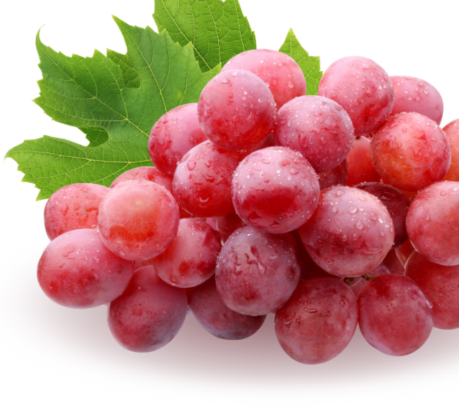 Resveratrol