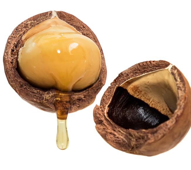 Ulei de Macadamia