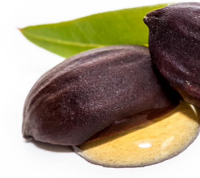 Ulei de Jojoba
