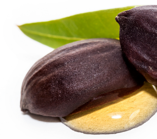 Ulei de jojoba