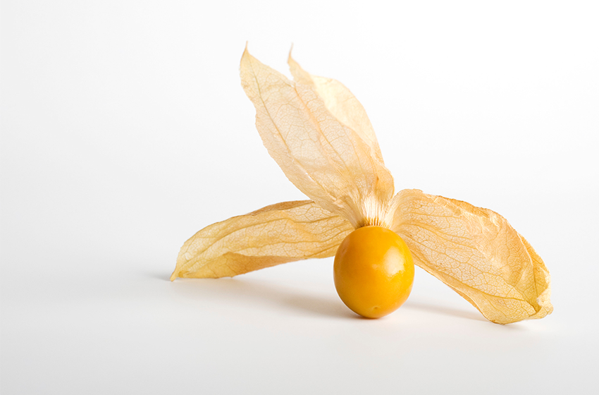 Physalis, planta bogată în vitamina C care susține sănătatea pielii și a întregului organism