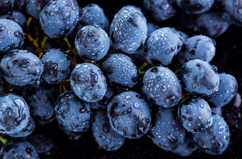 Resveratrol: beneficii asupra sănătății generale și a pielii