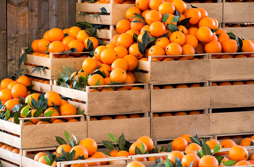Vitamina C