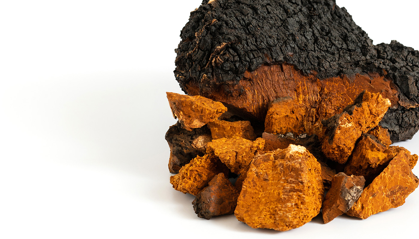 Chaga
