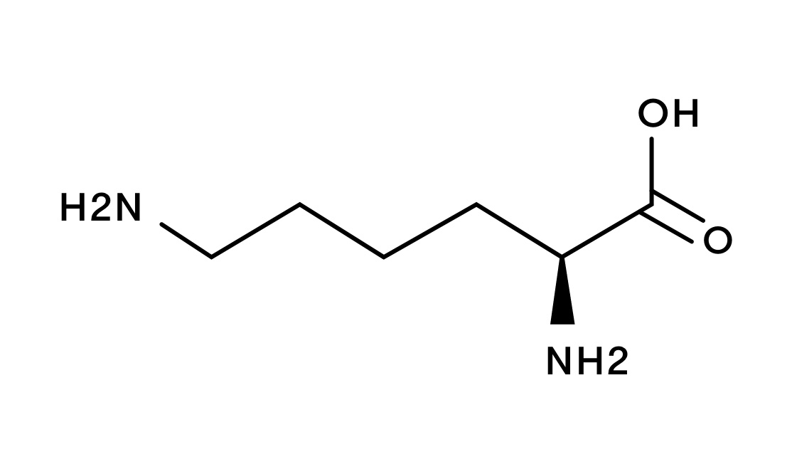 L-Lizina